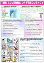 English Worksheet: THE ADVERBS OF FREQUENCY