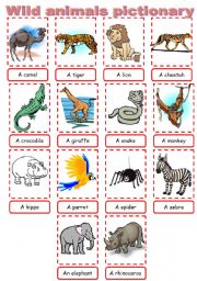 English Worksheet: Wild animals pictionary