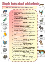 English Worksheet: Simple facts about wild animals gap fill