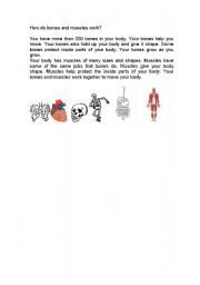 English worksheet: human body