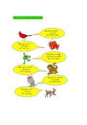 English Worksheet: Whzt ca the do?
