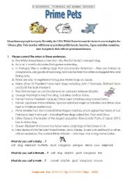 English worksheet: Prime Pets (upper beginner - advanced)