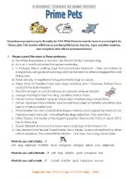 English Worksheet: Prime Pets (upper beginner - advanced)