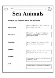 English worksheet: Sea animals