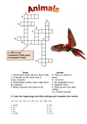 English worksheet: Animals: crossword and linking
