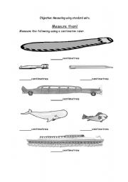 English worksheet: Measure Them