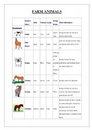 English worksheet: FARM ANIMALS