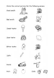 English Worksheet: Our senses