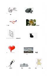English Worksheet: Adjective exercises