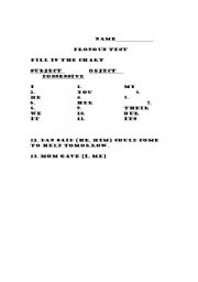 English worksheet: Pronoun Test