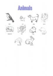 English worksheet: Animals