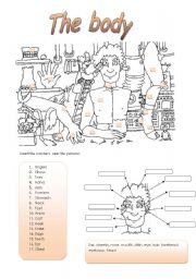 English Worksheet: the body