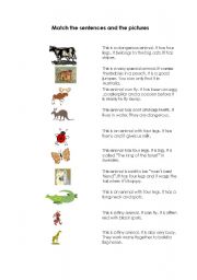 English worksheet: Animal Quiz 1
