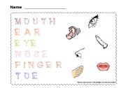 English Worksheet: Touch your toes  ! / 4