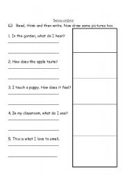 English Worksheet: Sense organs