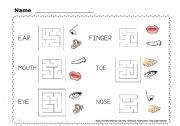 English worksheet: Touch your toes 2 / 4