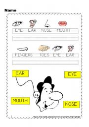 English worksheet: Touch your toes  3 / 4