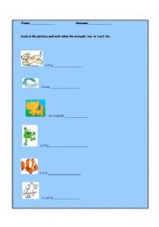 English Worksheet: can/cant animals abilities