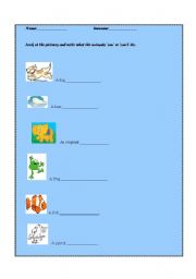 English worksheet: can/cant animals abilities