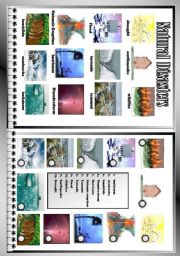 English Worksheet: Natural Disasters