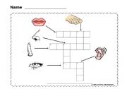 English Worksheet: touch your toes  4 / 4