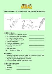 English worksheet: WILD ANIMALS