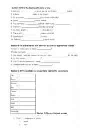 English Worksheet: some/any