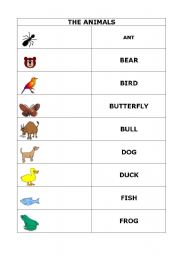 English worksheet: THE ANIMALS