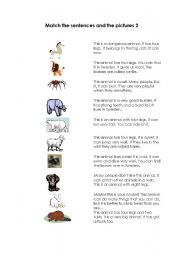 English worksheet: Animal riddles 2