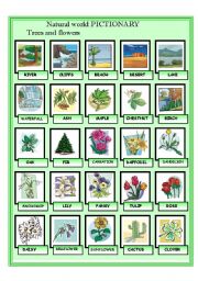 English Worksheet: The natural world - Plants and Trees Pictionary