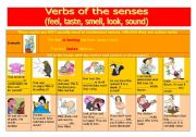 English Worksheet: VERBS OF THE SENSES (FEEL, LOOK, SMELL, TASTE, SOUND)