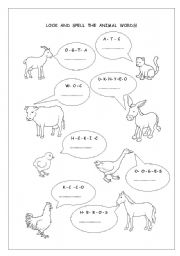 Look and spell the animal words