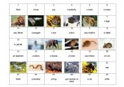 English worksheet: animal boardgame