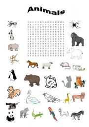 Word search - animals