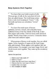 English Worksheet: The Human Body