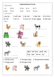 English Worksheet:  animals- 2nd grade