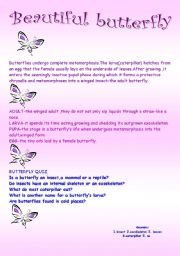 English Worksheet: Spring insects set 1