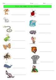English Worksheet: write the names of the animals
