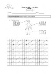 English worksheet: human body