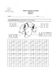 English worksheet: face