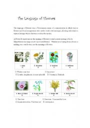 English Worksheet: The Language of Flowers (2pages)