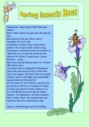 English Worksheet: Spring insects set 2 BEES