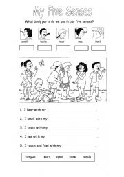 English Worksheet: My five senses