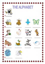 English worksheet: THE ALPHABET1