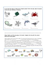 English Worksheet: Beach and Ocean worksheet