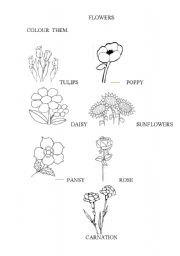 English worksheet:                 FLOWERS