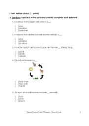 English worksheet: Science Exam