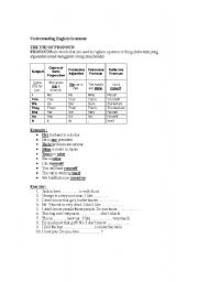 English Worksheet: Pronoun
