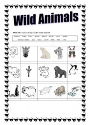 English worksheet: Wild Animals