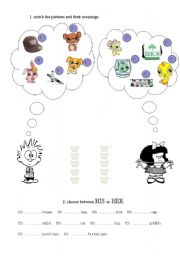English Worksheet: HIS HER